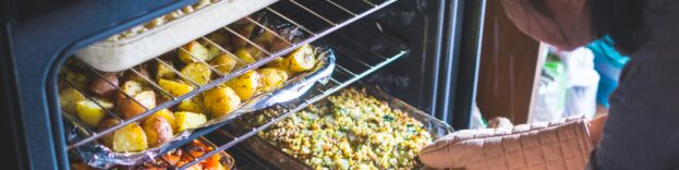 An image of a woman cooking a roast in an electric oven